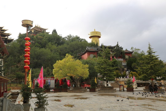 香格里拉獨克宗古城龜山公園