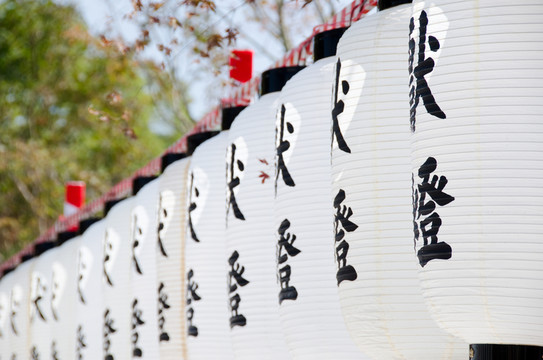 美國康復(fù)療法協(xié)會(huì)