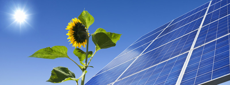 太阳能，能源，电力，太阳能电池板，太阳，向日葵，光