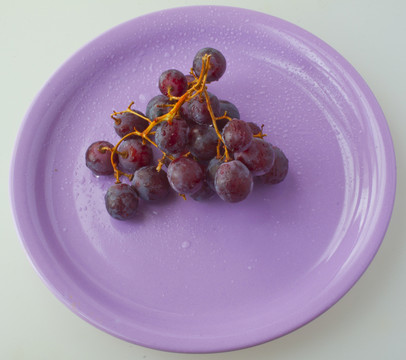食物