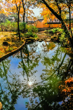 天平山的秋天