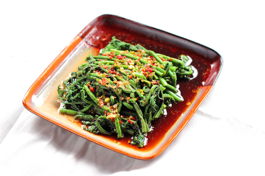 美味蕨菜 農(nóng)家野山珍