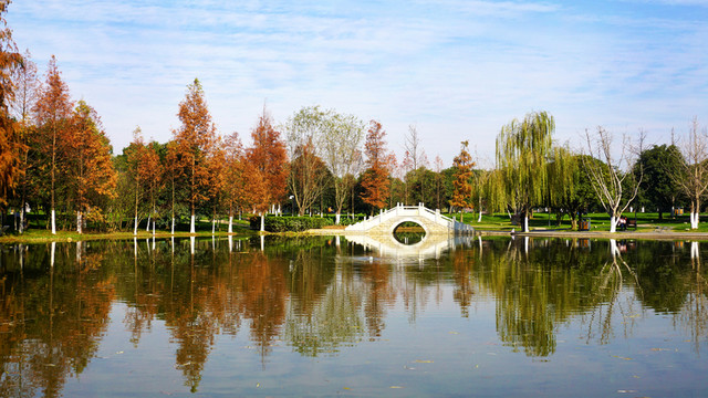 橘子洲公園景區(qū)