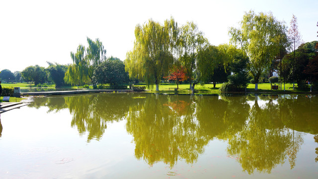 橘子洲公園景區(qū)