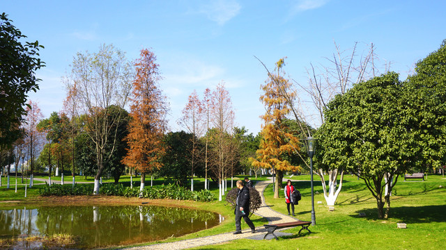 橘子洲公園景區(qū)