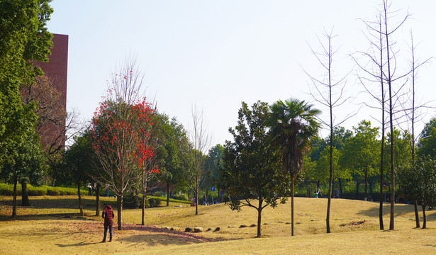 湖南農(nóng)大校園風(fēng)景