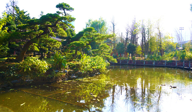 華雅國際大酒店風(fēng)景