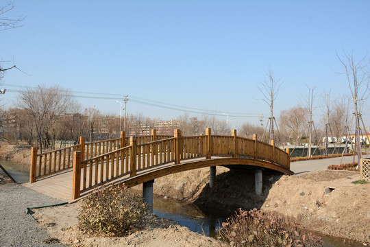 公園木橋