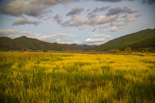 涼山瀘沽湖景區(qū)走婚橋