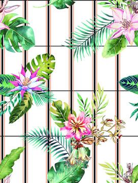 熱帶歐洲花