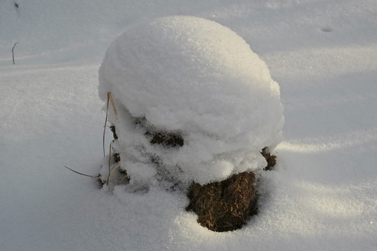 銀雪世界