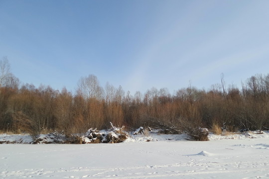 銀雪世界