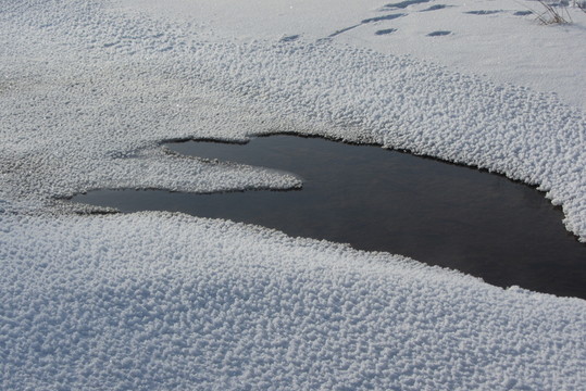 銀雪世界