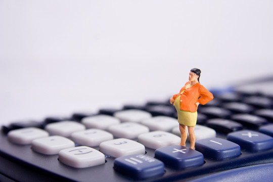 家庭津貼