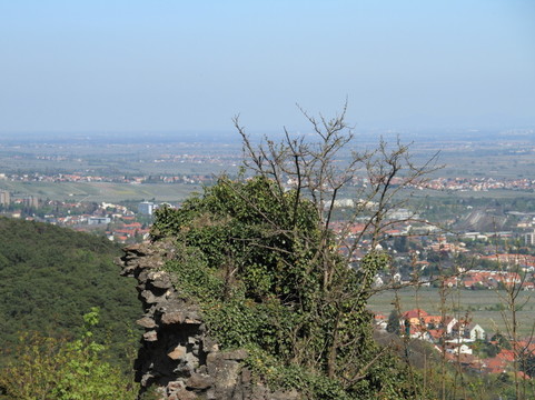 風景