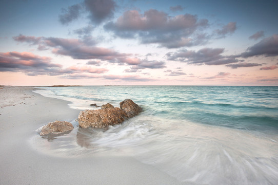 cala ginepro