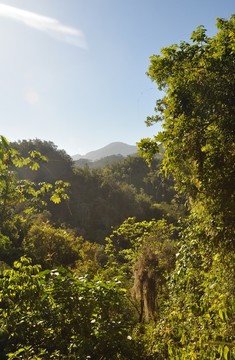 風(fēng)景在古巴南部的塞拉馬埃斯特拉