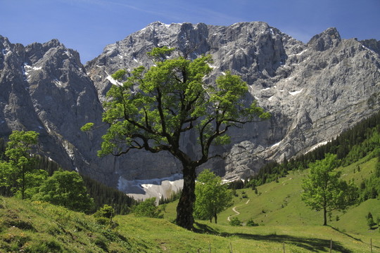 的Karwendel