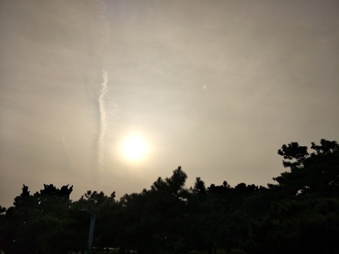 逆光