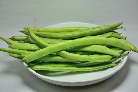 四季豆