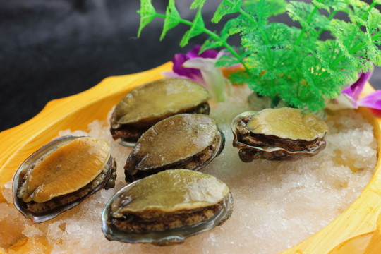 冰鎮(zhèn)南非鮑魚