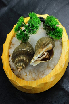 冰鎮(zhèn)海螺