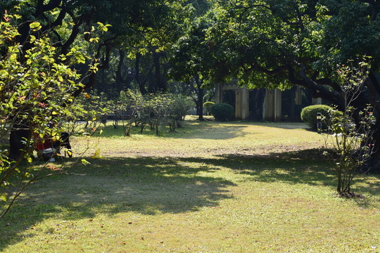 黃江人民公園 森林公園圖片