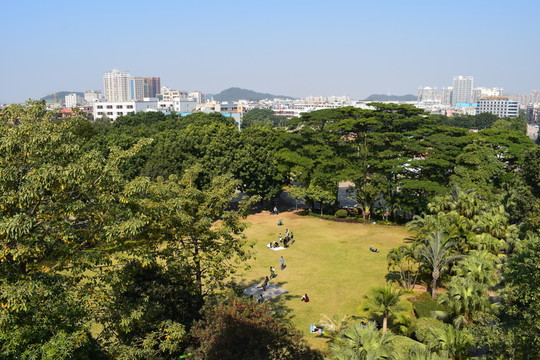 繁榮都市下的的一方凈土