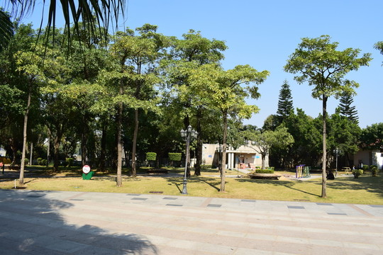 人民公園休息處圍繞綠化帶