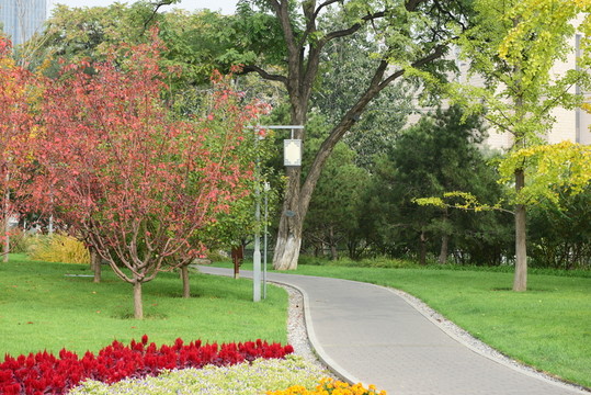 公園秋色小路