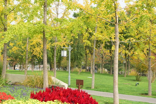 公園秋色小路