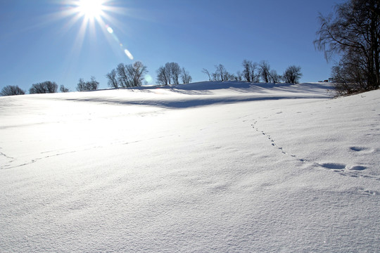 閃閃發(fā)光的雪