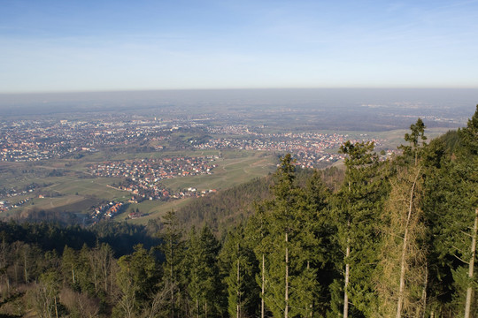 rheinebene