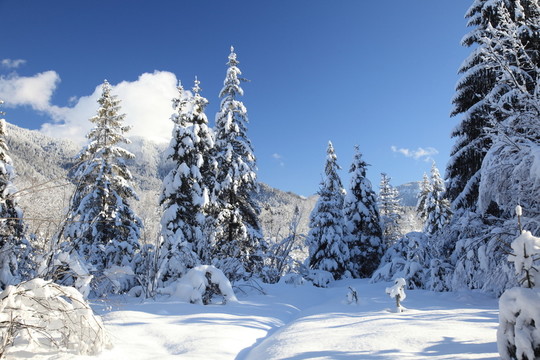 冬季景觀