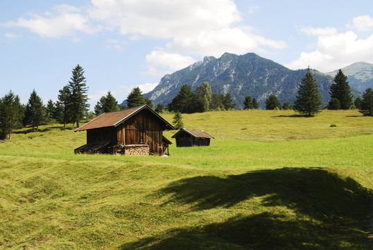 山