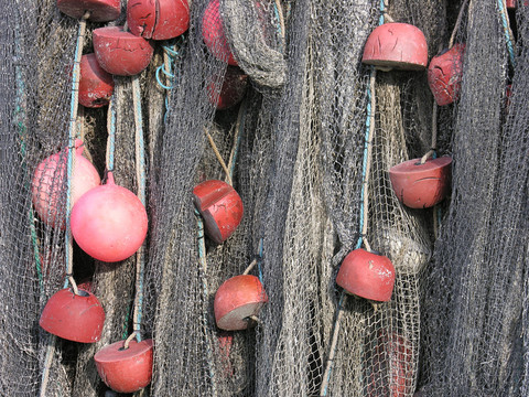捕魚網(wǎng)