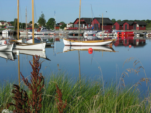 bergkvara