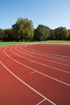 運動