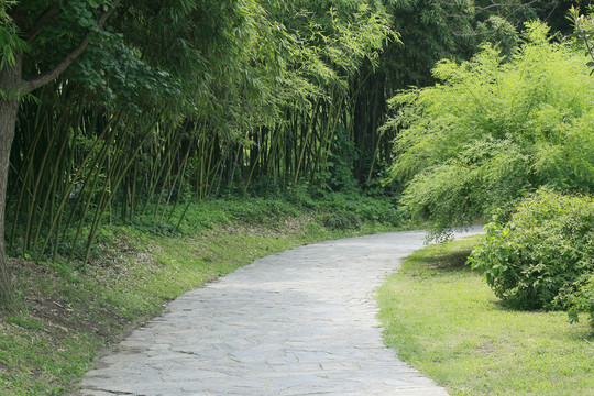 道路18