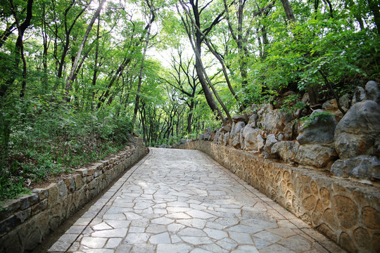 皇藏峪國(guó)家森林公園