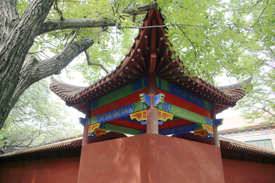 寺廟建筑一角