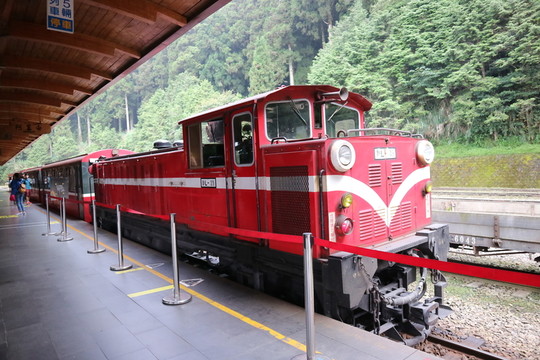 阿里山小火車