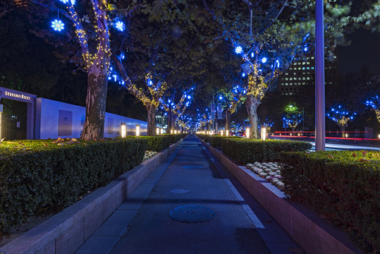 城市小路夜景