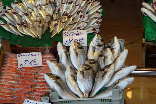 魚市場