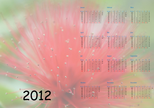 2012年年歷