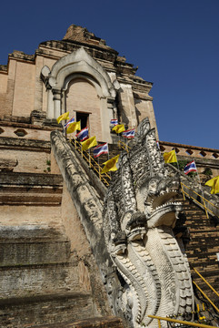在清邁笏chedi luang