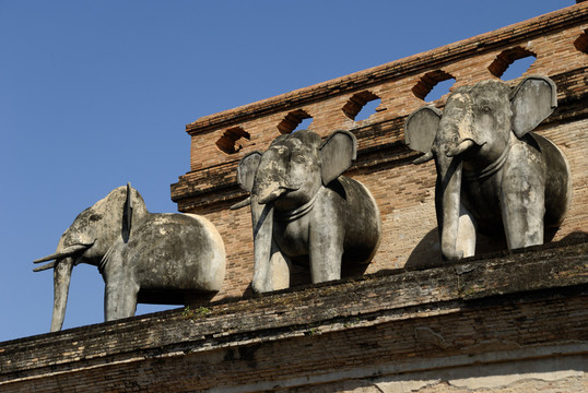 大象雕塑在wat chedi luang在清邁
