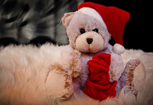 weihnachtsteddy