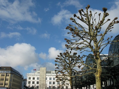 在漢堡是rathausplatz