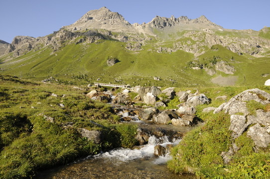 山